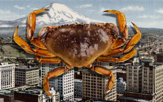 A Brief History: Dungeness Crab